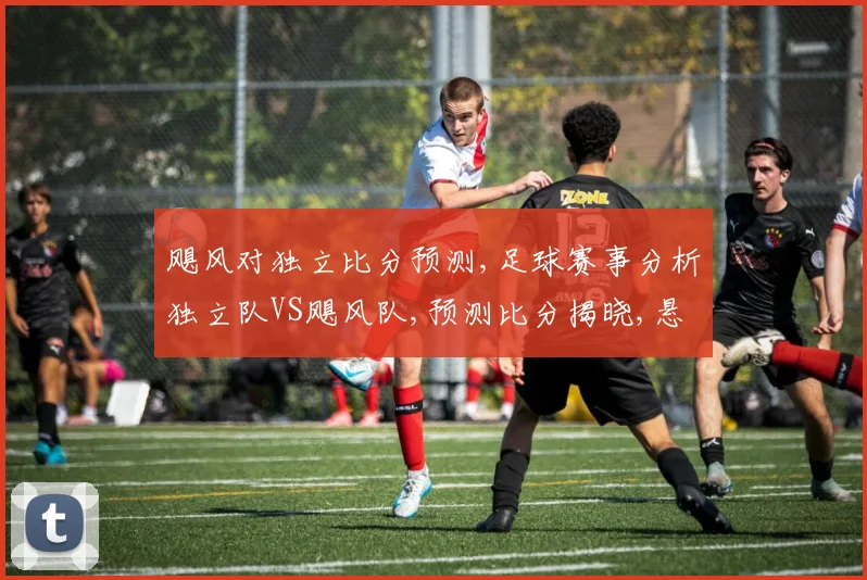 飓风对独立比分预测,足球赛事分析独立队VS飓风队,预测比分揭晓,悬念重重